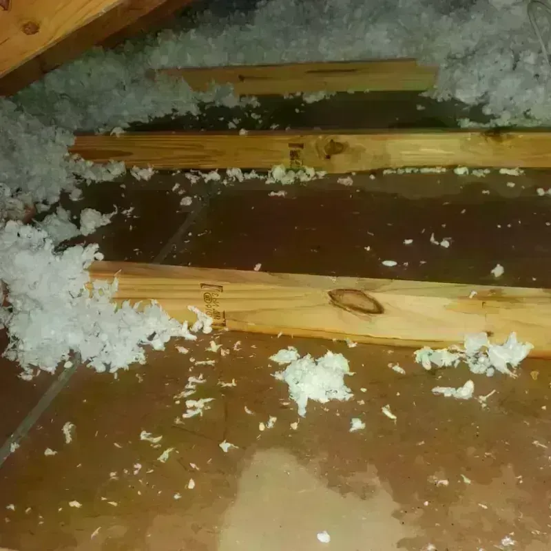 Attic Water Damage in Saginaw Township North, MI