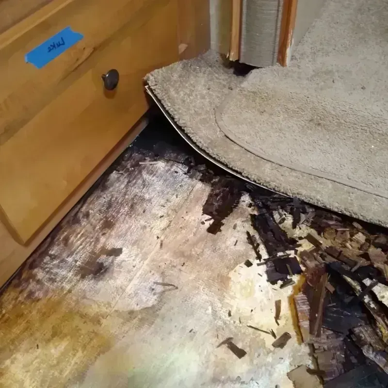 Wood Floor Water Damage in Saginaw Township North, MI